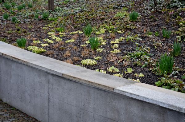 Concrete Wall Construction in Manchester