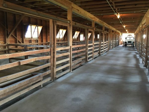 Barn Floor Pouring in Manchester