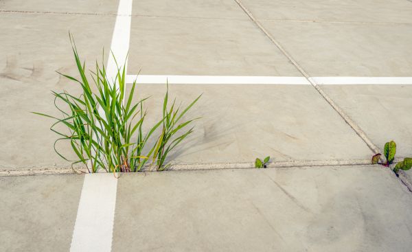 Concrete Parking Installation in Manchester
